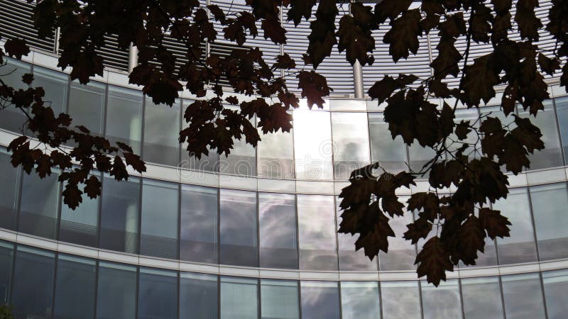 autumn trees window autumn trees window