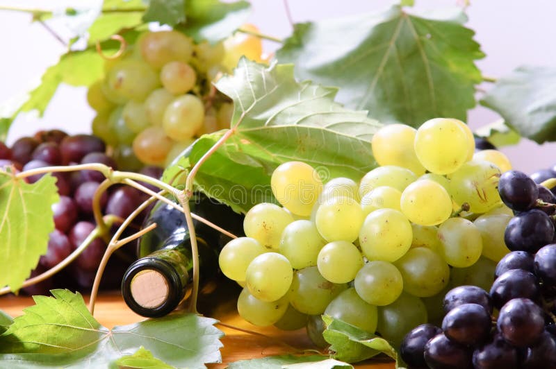 glass wine royaltyfria bilder glass wine royaltyfria bilder