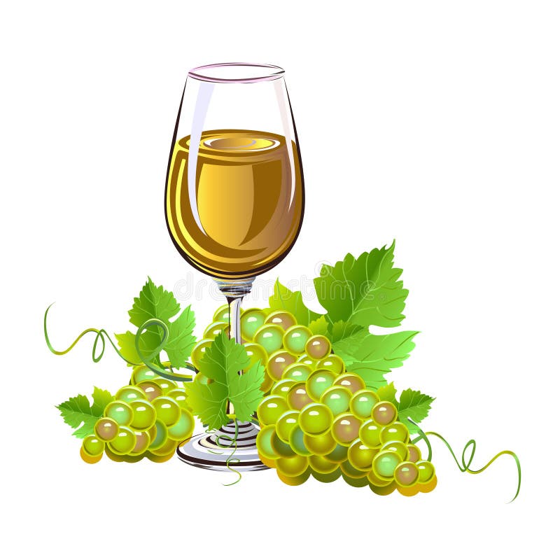 Glass of Wine and a Bunch of Grapes Stock Vector Illustration of