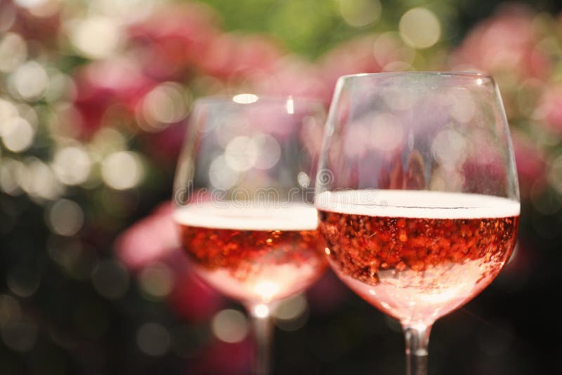 Glasses of rose wine in blooming garden. Space for text