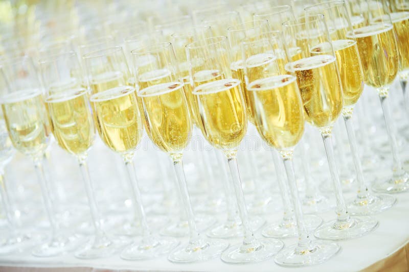 Catering services. rows of glasses with sparkling wine at restaurant party or celebration. Catering services. rows of glasses with sparkling wine at restaurant party or celebration