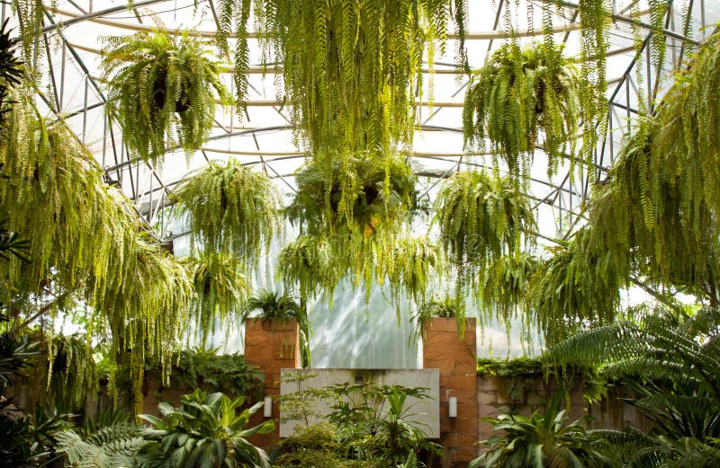 Glasshouse Stock Photos Image 17015843