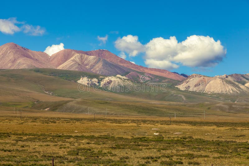 Landscape with Glassland stock image. Image of grassland 16783469