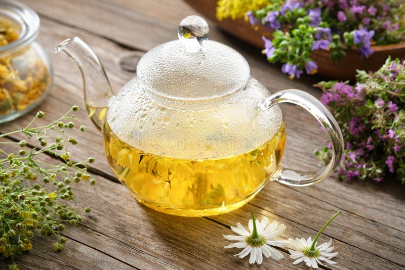 Glastekokare med friska örtte chamomile calendula thyme-blommor på träbord. alternativ medicin royaltyfri foto