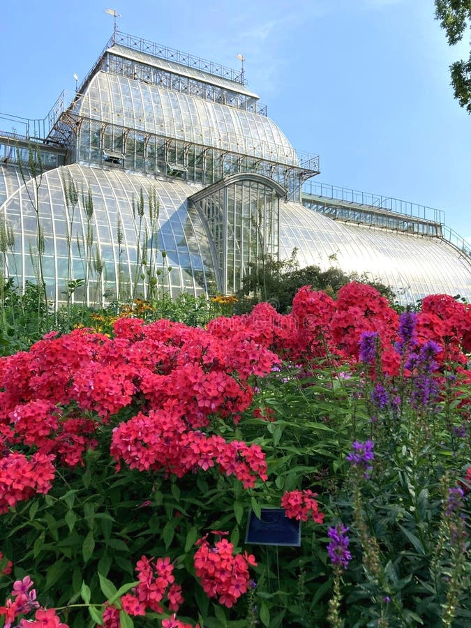 Glass greenhouse. Tropical greenhouse glasshouse. Glass greenhouse. Tropical greenhouse glasshouse.