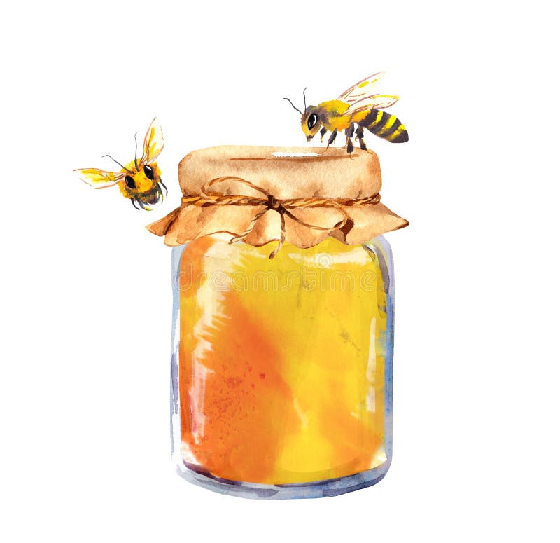 Glass jar full of honey and bees. Watercolor illustration. Glass jar full of honey and bees. Watercolor illustration