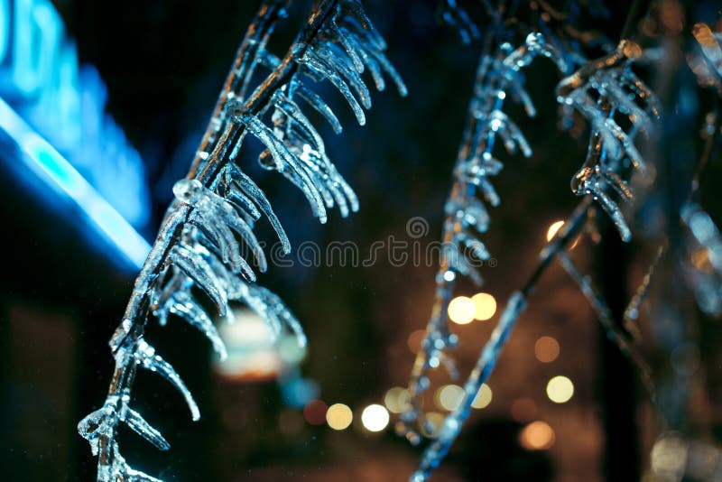 Glaçons sur les branches d'un arbre photographie stock Glaçons sur les branches d'un arbre photographie stock