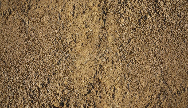 Gleba piaszczysta