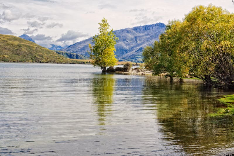 Glendhu Bay - Wanaka