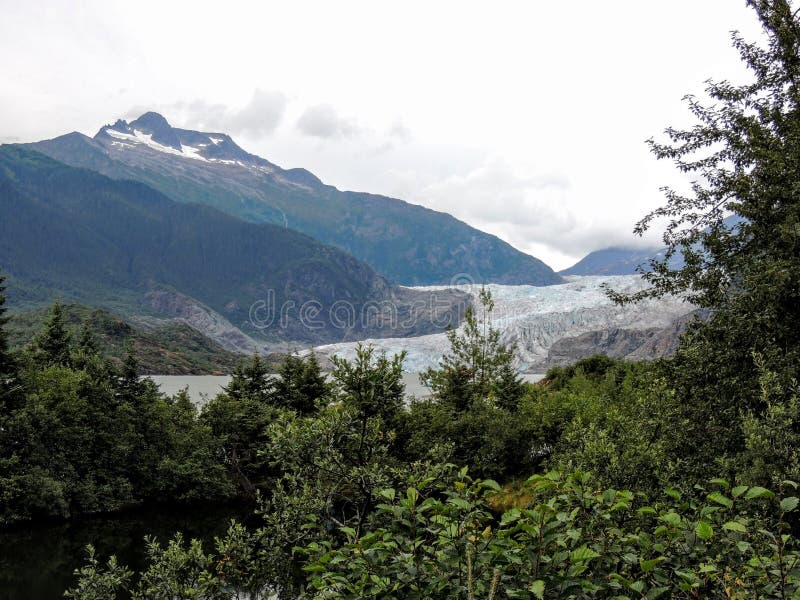 Gletscher und See Mendenhall nahe Juneau-Wald genommen von Spur zu Gletscher lizenzfreies stockfoto Gletscher und See Mendenhall nahe Juneau-Wald genommen von Spur zu Gletscher lizenzfreies stockfoto