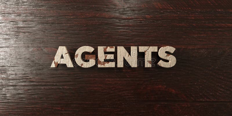 Gli agenti - titolo di legno grungy sull'acero - 3D hanno reso l'immagine di riserva libera della sovranità illustrazione di stock