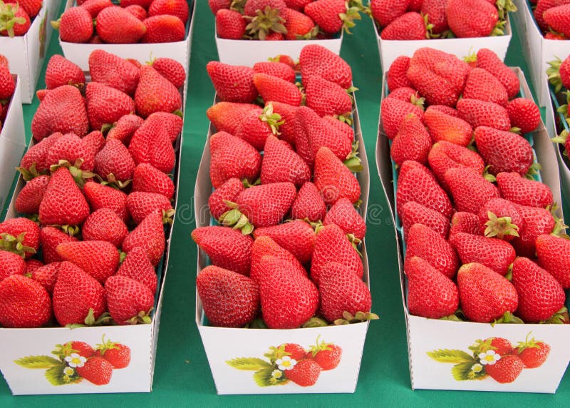 Gli agricoltori commercializzano le fragole fresche in cartoni immagine stock libera da diritti Gli agricoltori commercializzano le fragole fresche in cartoni immagine stock libera da diritti