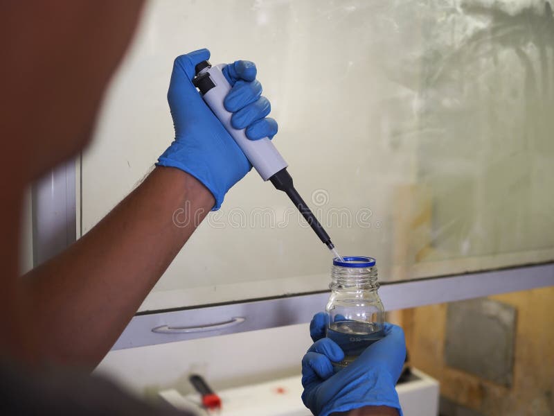 Gli scienziati delle mani degli uomini stanno utilizzando la micropipetta acquatica del rilascio nella provetta Il processo di ri fotografia stock libera da diritti