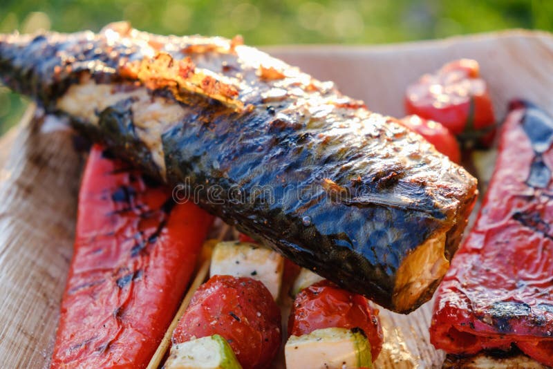 Gli spiedi di verdure arrostiti ed il pesce dello sgombro in una marinata dell'erba su un piatto, la cipolla, pomodoro dello zucc immagine stock libera da diritti Gli spiedi di verdure arrostiti ed il pesce dello sgombro in una marinata dell'erba su un piatto, la cipolla, pomodoro dello zucc immagine stock libera da diritti