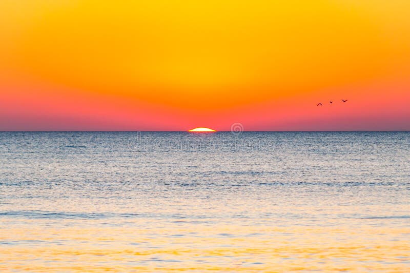 The last seconds of the amazing sundown. Three birds flying above the horizon, a bit of the sun star sphere is showing up above. The sea. Vibrant sunset on Cala Violina beach, Scarlino, Grosetto, Italy, travel, mediterranean, water, blue, nature, scenery, tuscany, light, golden, hour, dusk, evening, setting, retreat, seaside, littoral, tyrrhenian, rays, beams, waves, sky, seascape, yellow, orange, day, night, finish, moment, ending, animals, fauna, trio. The last seconds of the amazing sundown. Three birds flying above the horizon, a bit of the sun star sphere is showing up above. The sea. Vibrant sunset on Cala Violina beach, Scarlino, Grosetto, Italy, travel, mediterranean, water, blue, nature, scenery, tuscany, light, golden, hour, dusk, evening, setting, retreat, seaside, littoral, tyrrhenian, rays, beams, waves, sky, seascape, yellow, orange, day, night, finish, moment, ending, animals, fauna, trio