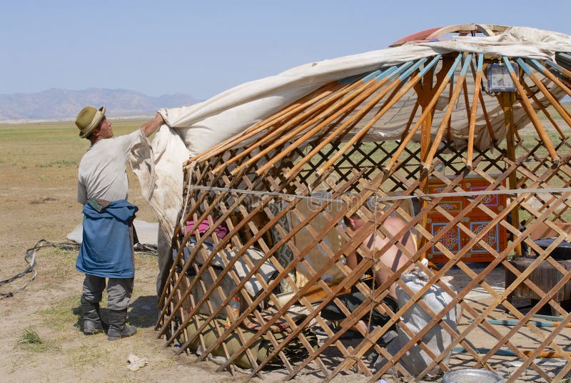 Gli uomini mongoli montano il yurt in steppa, circa Harhorin, la Mongolia