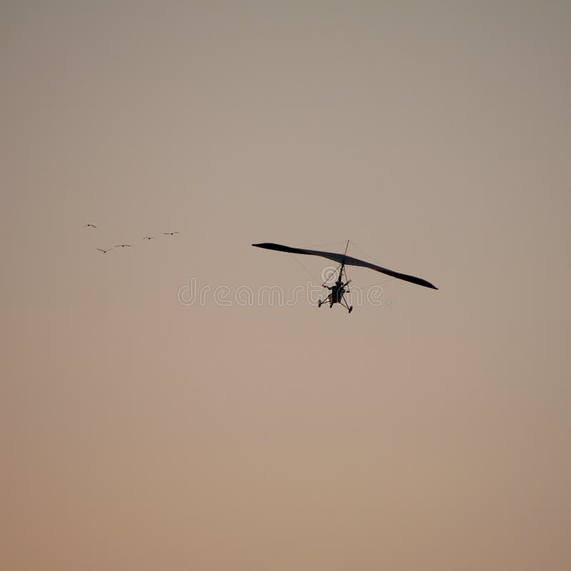 Glider flying in the sky stock image. Image of leisure 244171175