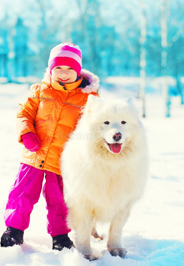 glimlachend kind en het witte Samoyed-hond spelen op de dag van de sneeuwwinter stock foto's glimlachend kind en het witte Samoyed-hond spelen op de dag van de sneeuwwinter stock foto's