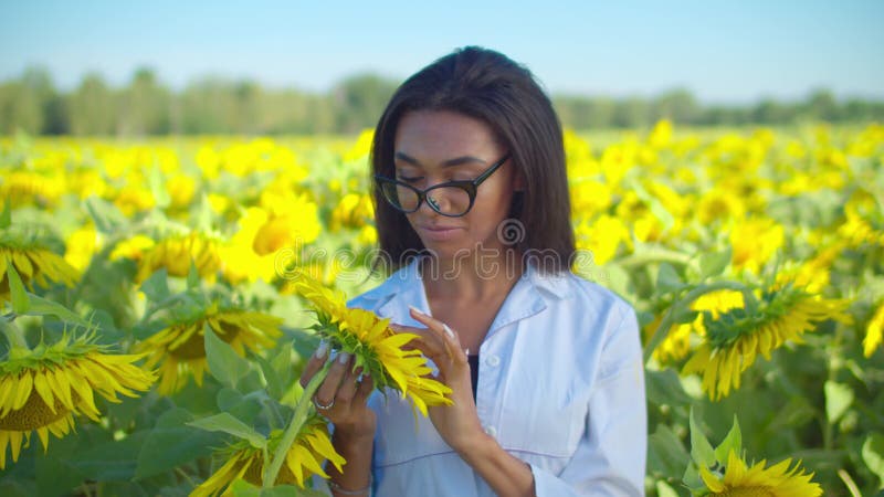 Glimlachende agronomist die zich op het terrein van de zonnebloem vormt