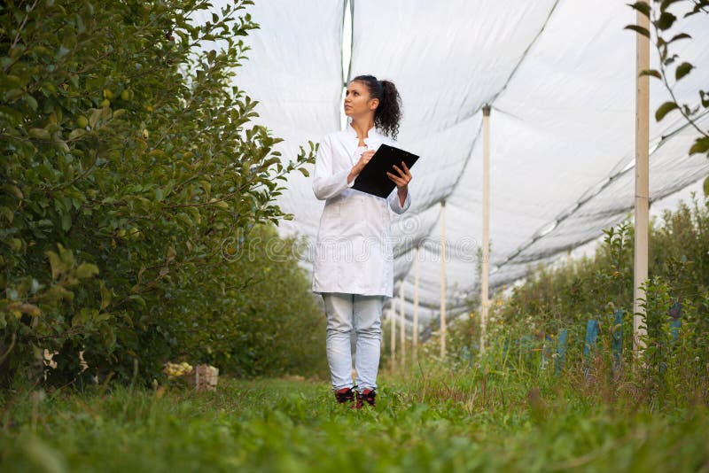 Glimlachende agronoom met notitieboekje die zich in appelboomgaard bevinden stock foto's Glimlachende agronoom met notitieboekje die zich in appelboomgaard bevinden stock foto's