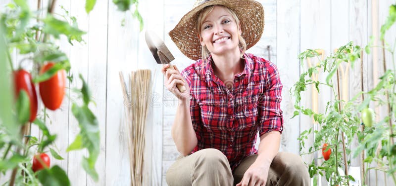 Glimlachende vrouw in moestuin, die het hulpmiddel van de tuintroffel op de achtergrond van kersentomaten tonen royalty-vrije stock foto's Glimlachende vrouw in moestuin, die het hulpmiddel van de tuintroffel op de achtergrond van kersentomaten tonen royalty-vrije stock foto's