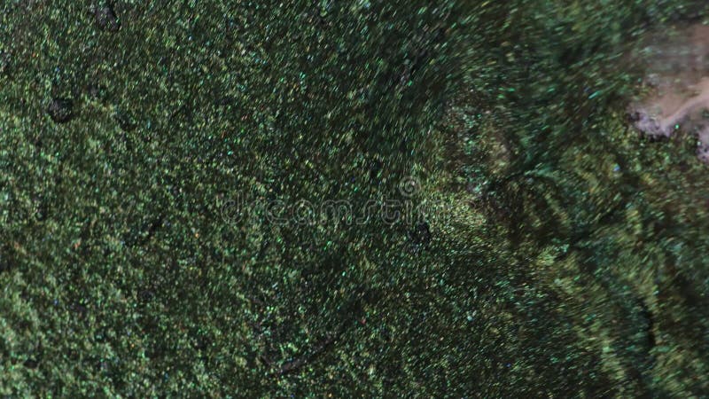Glitter Particles with Stars. Bokeh Shiny Particles Loop Animation. Green Particles on Black Background. stock footage