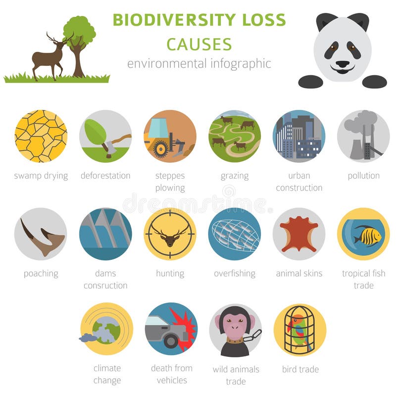 Global environmental problems. Biodiversiry loss infographic. Plants and animals destruction. Vector illustration. Biodiversity loss icon vectors