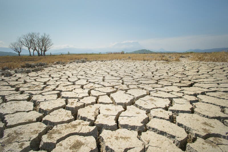 Global warming issue, ground land are dry, drought conditions in borneo, Sabah with no rain for the past month. Global warming issue, ground land are dry, drought conditions in borneo, Sabah with no rain for the past month.