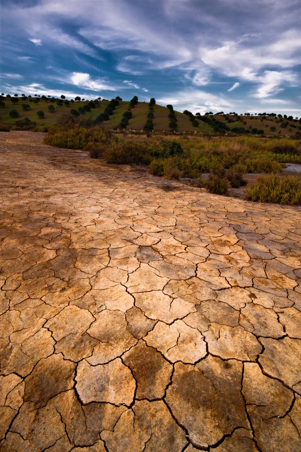 Una terra di cracking in campo contro un verde degli ulivi campo in background in un bellissimo azzurro cielo nuvoloso.