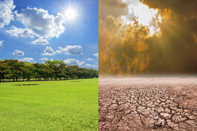 The Effect of Duckweed on Natural Pollution