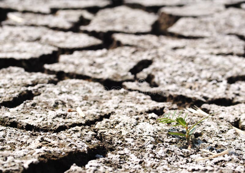 Global warming theme hot dried earth floor background stock photos Global warming theme hot dried earth floor background stock photos