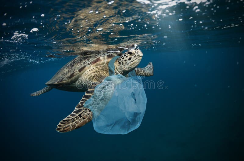 Globales Unterwasserproblem mit Plastikabfall