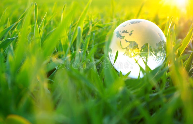 Globe in grass