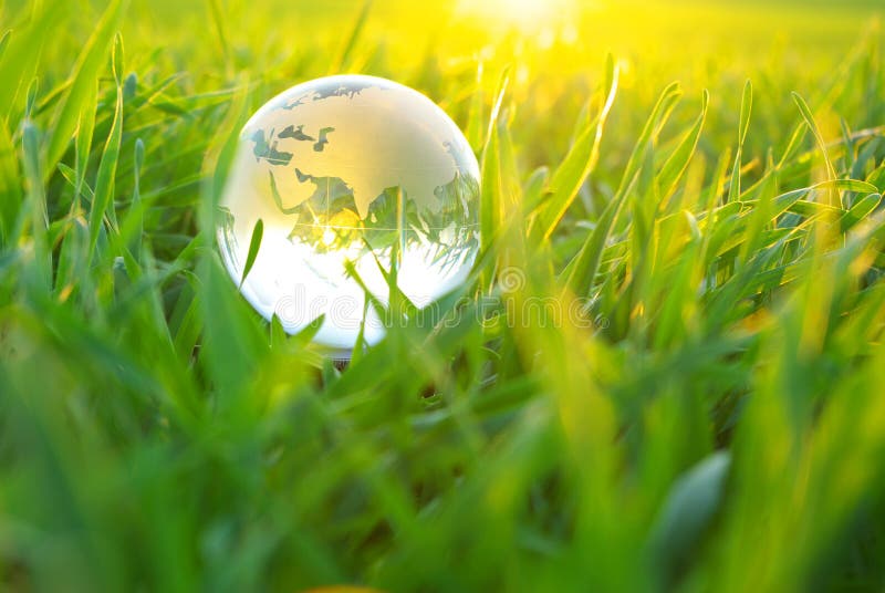 Globe in grass