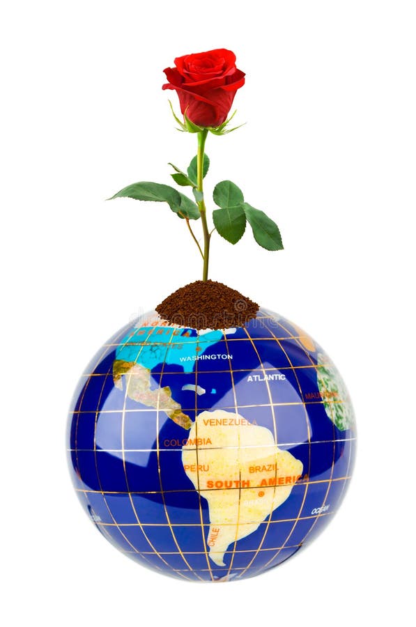 Globe and plant stock image. Image of business, concept 33592711