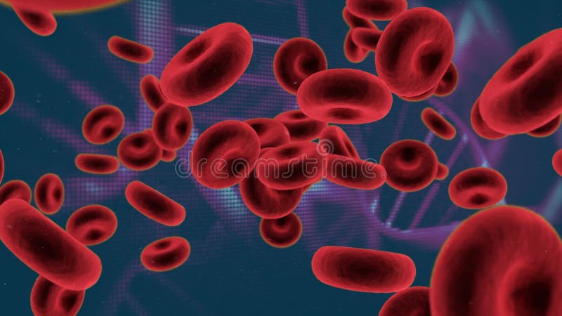 Globules rouges et hélice d'ADN double illustration de vecteur