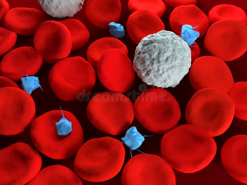 Globules sanguins illustration libre de droits Globules sanguins illustration libre de droits