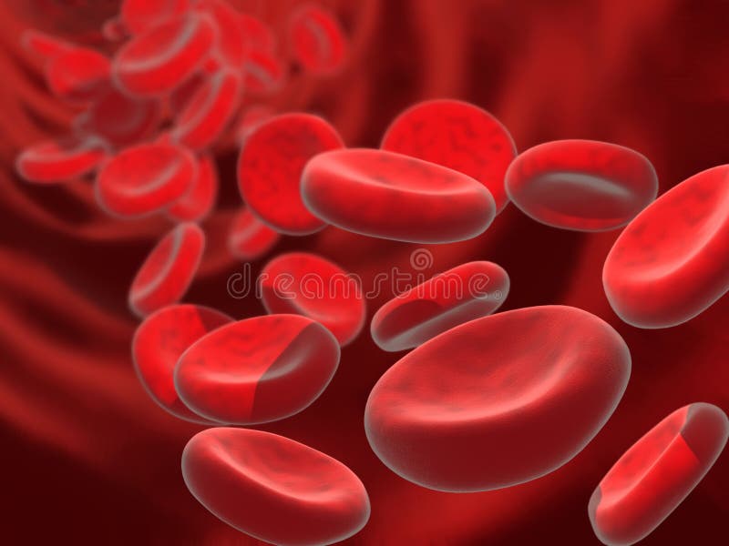 Globules sanguins