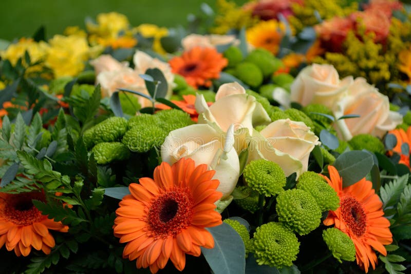 Gloeiende snijbloemen - valentijnskaartendag royalty-vrije stock foto's Gloeiende snijbloemen - valentijnskaartendag royalty-vrije stock foto's