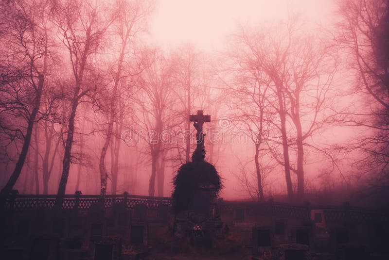 Gloomy forest graveyard