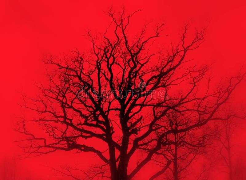 Gloomy oak in red mist