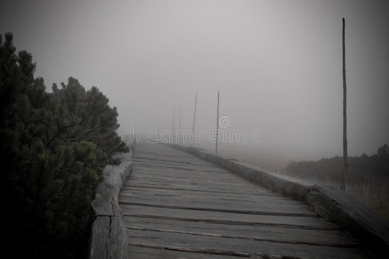 35 152 Gloomy Weather Photos Free Royalty Free Stock Photos From Dreamstime