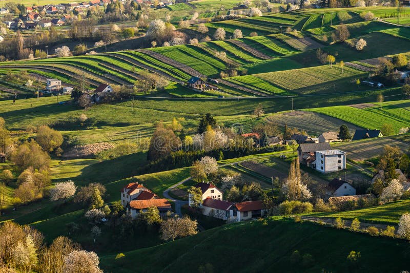 Glorious sunrise over grassy spring rural landscape