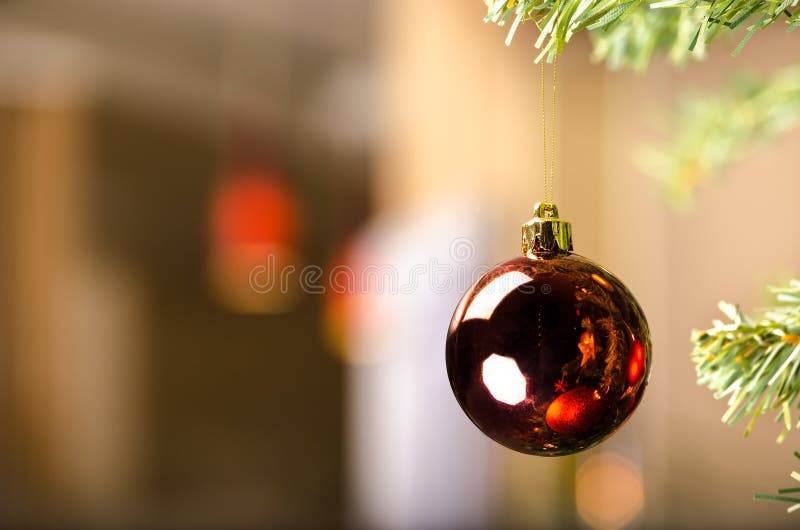 1,756 Glossy Red Ball Ornament Christmas Tree Stock Photos Free