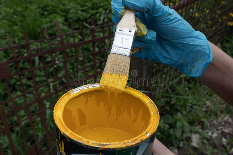 Gloved рука держа щетку выдержанный в желтой краске, сверхнормальных подачах краски назад в консервную банку стоковое изображение Gloved рука держа щетку выдержанный в желтой краске, сверхнормальных подачах краски назад в консервную банку стоковое изображение