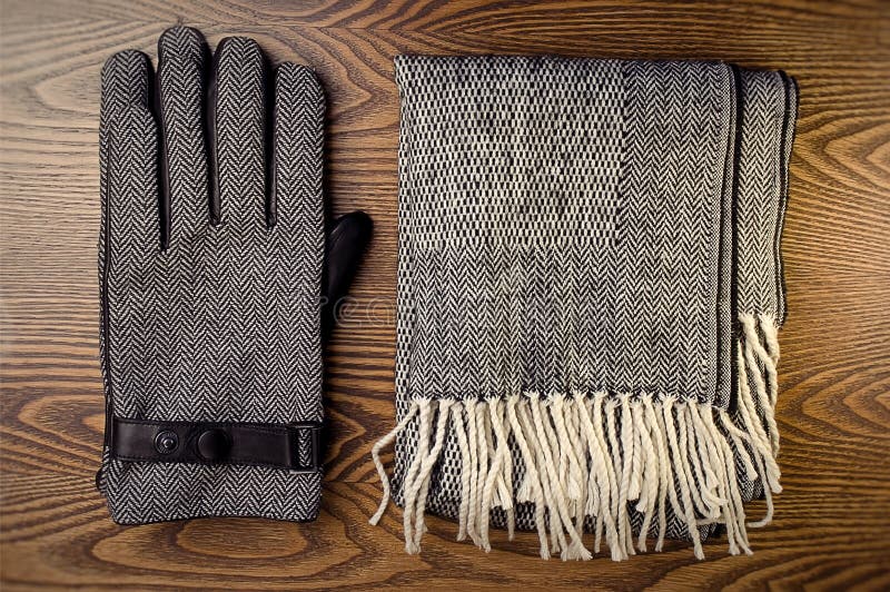 Gloves and scarf stock image. Image of gloves, gray, male 27382481