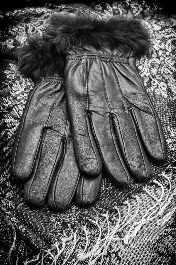 Gloves and Scarf stock image. Image of decoration, material 33969291