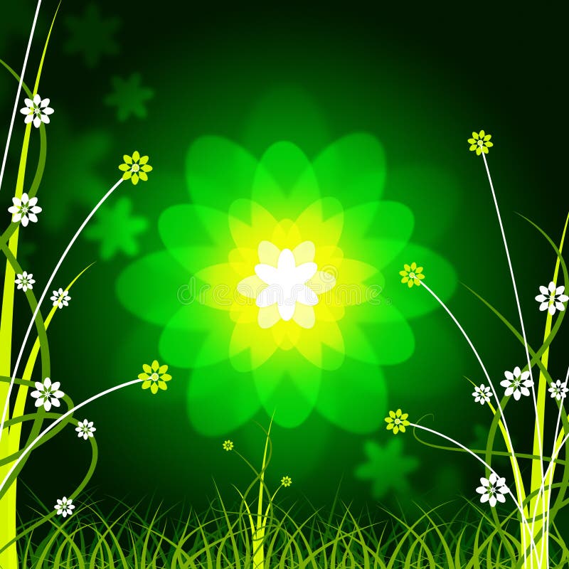 glow-floral-shows-empty-space-and-backdrop-stock-illustration