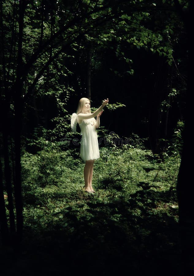 Forest Angel stock photo. Image of foggy, angel, delusion 34692404