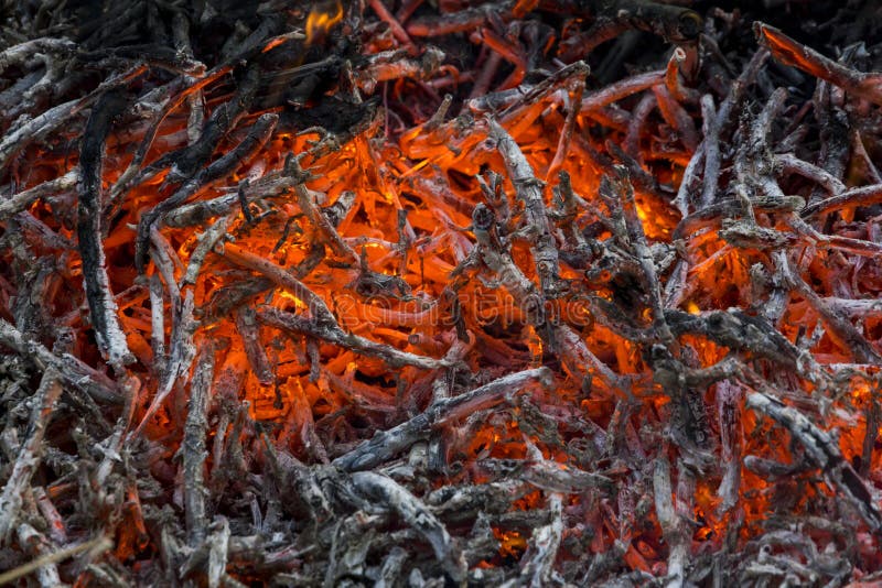 Glowing embers and ashes in a fire